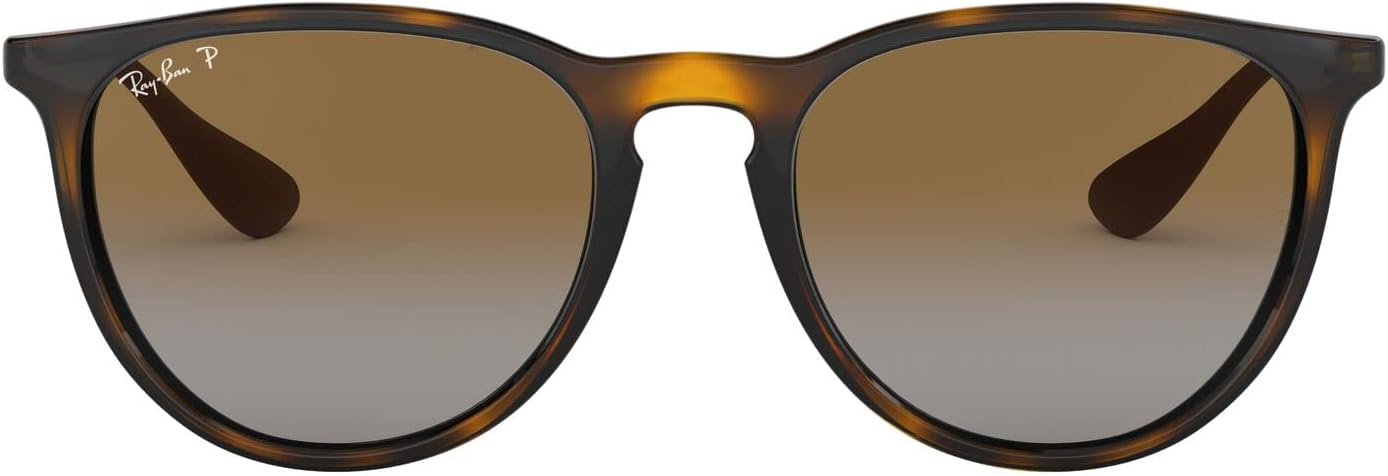Ray-Ban RB4171 Erika Round Sunglasses