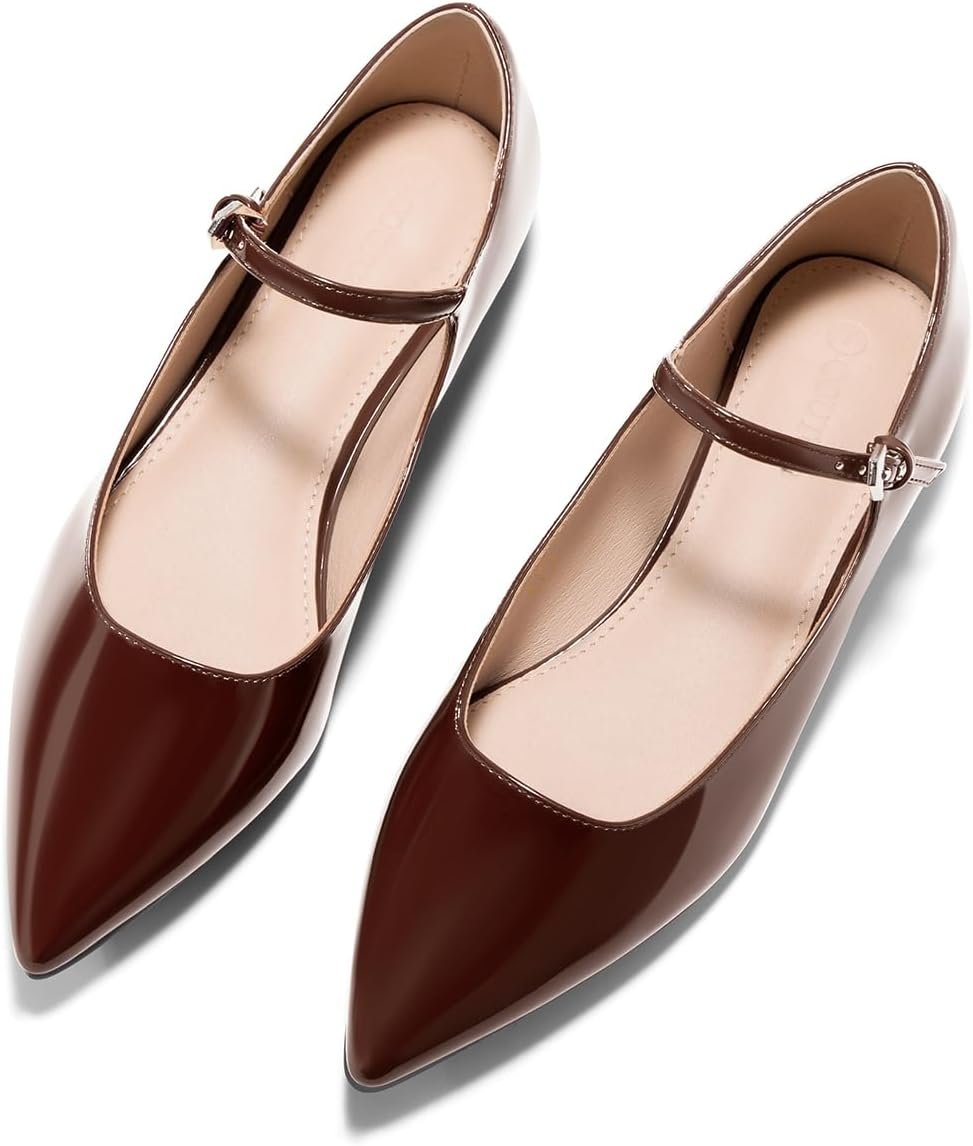 Coutgo Womens Mary Jane Flats Closed Pointed Toe Ballet Flats Ankle Strap Work Dress Shoes